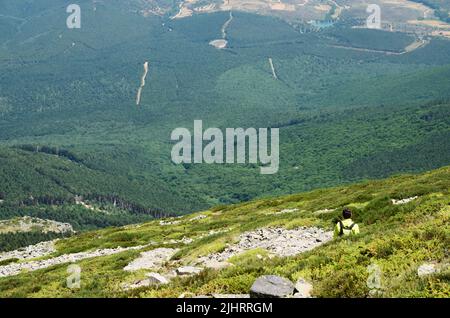 Wanderer mit Blick auf den Pinienwald. El Moncayo oder San Miguel ist ein Berg im iberischen System zwischen den Provinzen Zaragoza und Soria. Wi Stockfoto