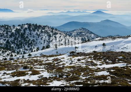 Blick nach Süden, Sierra de Baza und Sierra Nevada bei einem nebligen Sonnenuntergang. Naturpark Sierra Magina. Huelma, Jaén, Andalucía, Spanien, Euro Stockfoto