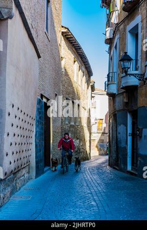 Mann auf dem Fahrrad zu Fuß zwei Hunde. Schmale Straße im historischen Zentrum. Tudela, Navarra, Spanien, Europa Stockfoto