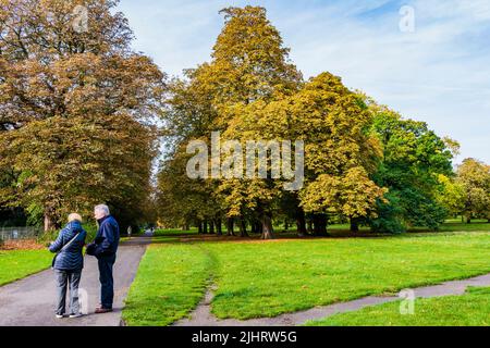 Ein Seniorenpaar spaziert in den Kensington Gardens, einst die privaten Gärten des Kensington Palace, die zu den Royal Parks von London gehören. Die Gärten sind s Stockfoto