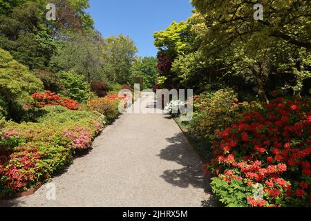 Ein Schotterweg steigt langsam eine Steigung hinauf und ist auf beiden Seiten von bunten Blumen in den formalen Gärten eines englischen Landhauses am umgeben Stockfoto