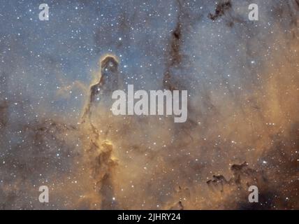 Der Elefantenrüsselnebel (IC 1396a), innerhalb des Sternbildes Cepheus, aus Großbritannien fotografiert Stockfoto