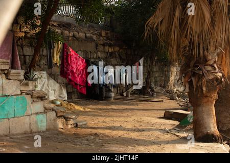 Klamotten Online im Garten Stockfoto