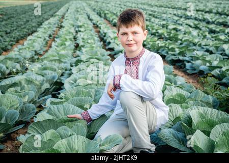 Weiche selektive Fokus von Kerl bestickte Jacke auf agro-industriellen Bereich von Kohl, grünes Gemüse. Landwirtschaft. Das Kind berührt das Kohlblatt. Baut Nahrung an. Reife Ernte. Unabhängigkeitstag der Ukraine. Stockfoto