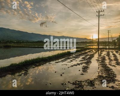 Foto des Sonnenuntergangs am Ende der Reisfelder, Aceh, Indonesien. Stockfoto