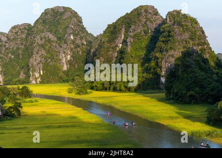 Gelbes Reisfeld auf dem NGO Dong Fluss in Tam Coc Bich Dong von der Bergspitze in der Provinz Ninh Binh in Vietnam Stockfoto