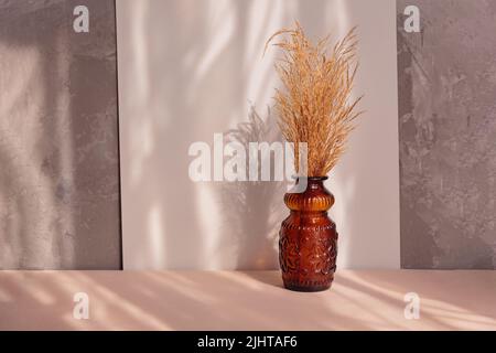 Natürliches getrocknetes Pampagras in brauner Vase Stockfoto