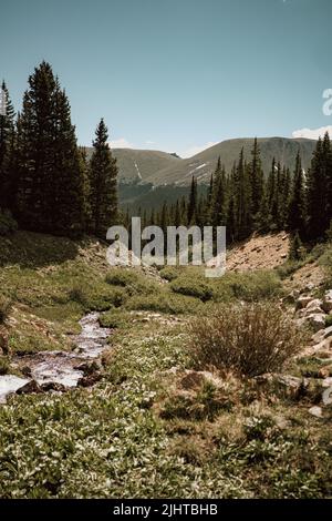 Malerische Landschaft von kleinen schmalen Fluss fließt durch Kiefernwald die Kulisse des Bergtals im Winter Park, Colorado, USA Stockfoto