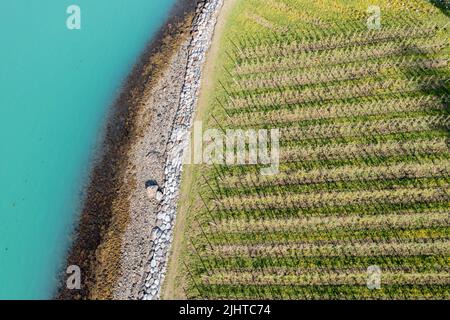 Luftaufnahme von Apfelplantagen bei Lofthus, Hardangerfjord, Norwegen Stockfoto