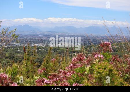 Blick über die Stadt. Die Stadt Kapstadt aus dem Kirstenbosch National Botanical Garden Stockfoto