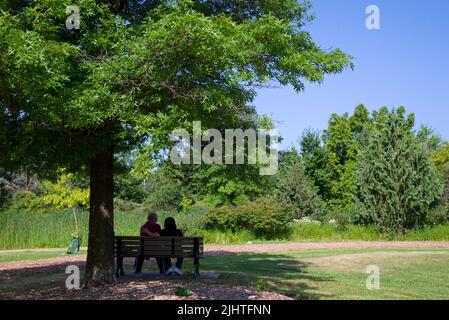 Toronto, Ontario / Canada - 07/07/2022: Ehepaar sitzt auf einer Parkbank unter einem Baum. Morgens in einem öffentlichen Park entspannen Stockfoto