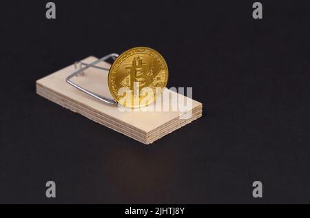 Eine Goldmünze ist wie ein Köder in einer Mausefalle. Risikokonzept mit Kryptowährung. Stockfoto