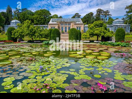 Seerosenteich Wilhelma Zoologischer-Botanischer Garten, Wilhelma, Stuttgart, Baden-Württemberg, Deutschland, Europa Stockfoto