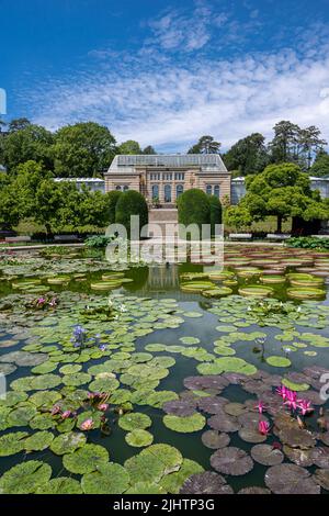 Seerosenteich Wilhelma Zoologischer-Botanischer Garten, Wilhelma, Stuttgart, Baden-Württemberg, Deutschland, Europa Stockfoto