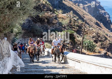 Esel und Maultiere tragen Touristen die 580 Stufen hinauf und hinunter zum Alten Hafen von Fira, wo die Passagiere des Kreuzfahrtschiffs ankommen. Thira, Santorini, Griechenland Stockfoto