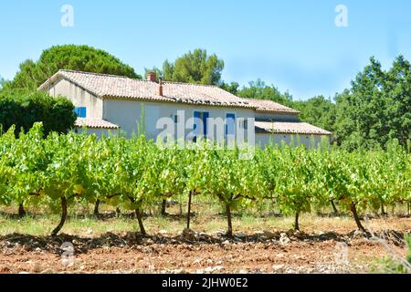 Weinberge und ein typisches provenzalisches Haus in der Provence, Frankreich Stockfoto