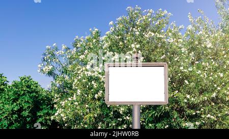 Leere quadratische Zeichen mockup in der städtischen Umgebung auf der Straße, leerer Raum, um Ihr Geschäft Zeichen oder Logo anzuzeigen. Modell auf weißem Hintergrund für den d Stockfoto
