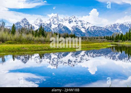 Spiegelung der Grand Tetons am Snake River bei Schwabacher Landing im Grand Teton National Park, Wyoming Stockfoto