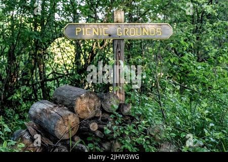 Melden Sie sich auf dem Picknickplatz mit einem Haufen Baumstämme entlang eines Pfades in den Wäldern in North Branch, Minnesota, USA, an. Stockfoto