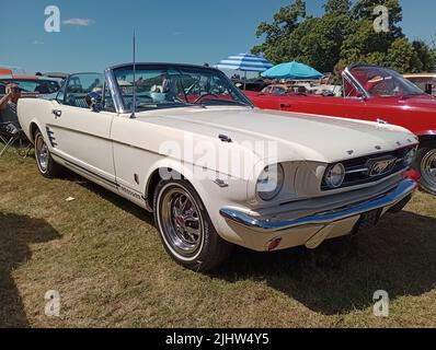 Ein Ford Mustang Cabrio aus dem Jahr 1966 wurde bei der 47. Historic Vehicle Gathering in Powderham, Devon, England, ausgestellt. Stockfoto