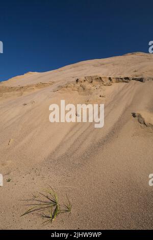 Hügel aus ausgegrabenem feinem Sand in kommerzieller Sandgrube. Stockfoto