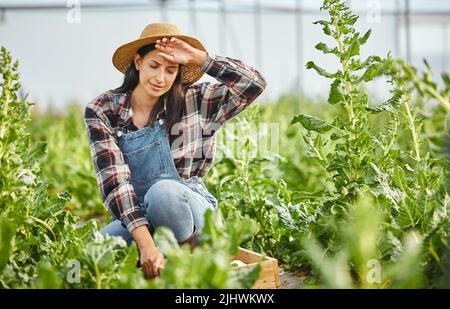 Es ist harte Arbeit. Ganzkörperaufnahme einer attraktiven jungen Frau, die auf ihrem Bauernhof arbeitet. Stockfoto