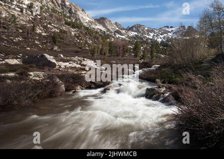 Der Lamoille Creek fließt aus den Ruby Mountains im Lamoille Canyon in der Nähe von Elko, Nevada. Stockfoto