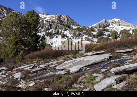 Peeling-Granit am Lamoille Canyon in den Ruby Mountains in Nevada Stockfoto