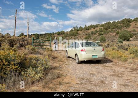 Ein Mann in blauer Jeans geht zurück zu seinem Auto, einem Ford Focus, der auf einer Schotterstraße parkt, nachdem er das Tor zu seiner Ranch im Norden von New Mexico geöffnet hat. Stockfoto