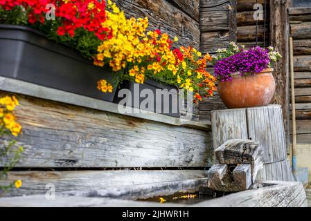 Bunte Blumen umgeben einen alten Brunnen an der Seite eines Blockhauses in den Schweizer Bergen Stockfoto