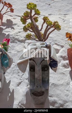 Waschmittelbehälter als Blumentopf wiederverwendet und an der Außenwand befestigt. Magacela Historisches Ensemble, Badajoz, Extremadura, Spanien Stockfoto