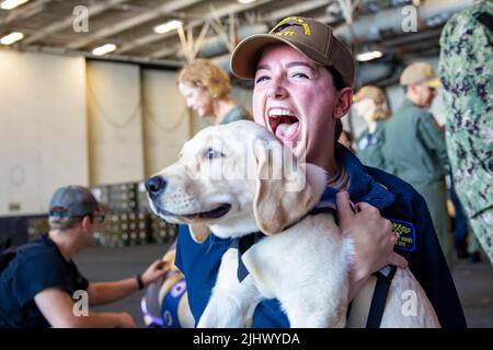 Norfolk, Virginia, USA. 13.. Juli 2022. Ens. Sydney Hughes hält einen Hund, der auf dem Flugzeugträger USS George H.W. der Nimitz-Klasse mitgebracht wurde Bush (CVN 77) von Mutts with a Mission, 13. Juli 2022. The George H.W. Die Bush Carrier Strike Group ist ein integriertes Kampfwaffensystem, das überlegene Kampffähigkeit bietet, um Amerikas Gegner zur Unterstützung der nationalen Sicherheit abzuschrecken und erforderlichenfalls zu besiegen. Quelle: U.S. Navy/ZUMA Press Wire Service/ZUMAPRESS.com/Alamy Live News Stockfoto