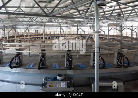 Moderne Rundmelkmaschine in einem modernen Kuhbetrieb, Kuhmelkmaschine Stockfoto