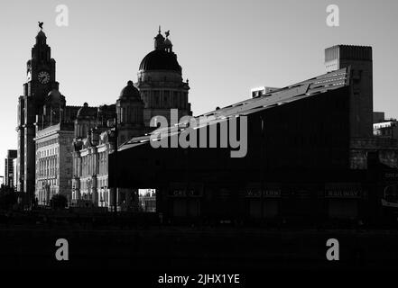 Das Royal Liver Building - Schwarz-Weiß-Version Stockfoto