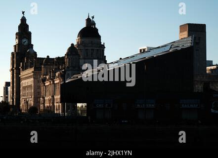 Das Royal Liver Building Stockfoto