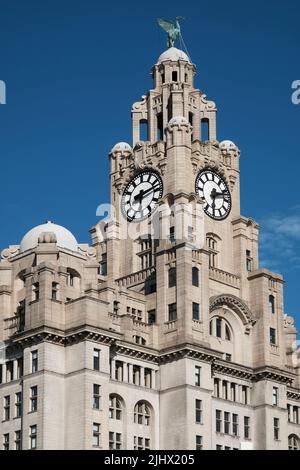 Das Royal Liver Building Stockfoto