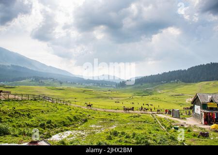 Gulmarg bekannt als Gulmarag in Kashmiri, ist eine Stadt, Bergstation, beliebtes Skiziel. Stockfoto