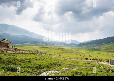 Gulmarg bekannt als Gulmarag in Kashmiri, ist eine Stadt, Bergstation, beliebtes Skiziel. Stockfoto