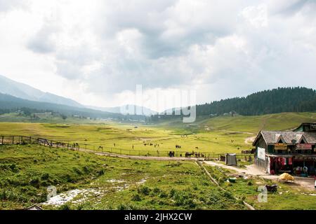 Gulmarg bekannt als Gulmarag in Kashmiri, ist eine Stadt, Bergstation, beliebtes Skiziel. Stockfoto