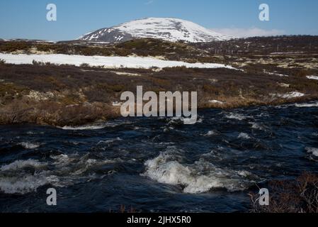 Der Fluss Driva fließt auf etwa 1000 Meter über dem Meeresspiegel durch das Dovrefjell-Gebirge in Mittelnorwegen Stockfoto