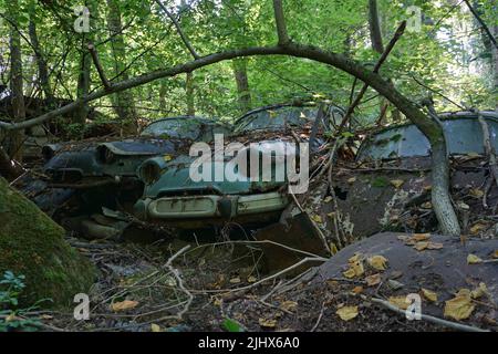 Eine Aufnahme eines verlassenen und alten Autos im Wald Stockfoto