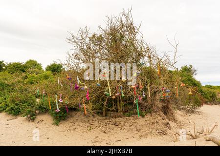 Dekorative Strandkunst, die von Handwerkern in Handarbeit hergestellt und in natürlichen Bäumen am Strand aufgehängt wurde Stockfoto