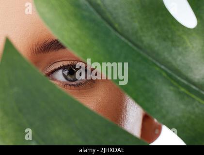 Nahaufnahme Porträt einer unbekannten Frau, die ihr Gesicht mit einem grünen Monstera Pflanzenblatt bedeckt. Kopfbild des kaukasischen Modells, das vor einem grauen Hintergrund in posiert Stockfoto