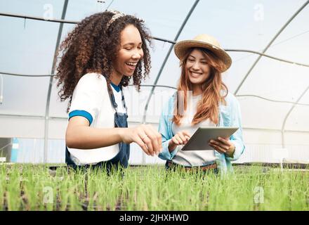 Die Landwirtschaft macht viel Spaß. Zwei attraktive junge Frauen benutzen ein Tablet, während sie in einem Gewächshaus auf einem Bauernhof arbeiten. Stockfoto