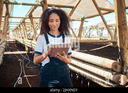 Eine junge Frau, die auf einem Bauernhof mit einem digitalen Tablet arbeitet, beschleunigt ihre Aufgaben mit Hilfe ihres Geräts. Stockfoto