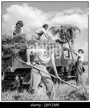 WW2 FRAUEN LANDARMEE Großbritannien Nahrungsmittelproduktion Ernte am Mount Barton, Devon, England, 1940s Land Girls helfen einem Landwirt, geernteten Hafer in den Sonnenschein von Hollow Moor, Devon, in einen Lastwagen zu laden.1942 Frauen Landarmee. Die WLA arbeitete während des Zweiten Weltkriegs an der Versorgung mit Lebensmitteln Stockfoto