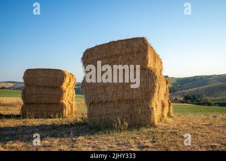 Blick auf Heuhaufen in einem Feld in der Nähe von Montegridolfo, einem antiken Dorf in der Emilia-Romagna in Italien. Kultivierte Felder am Hang, unter Stockfoto