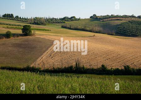 Blick auf die Felder in der Nähe von Tavullia in der Provinz Pesaro und Urbino in den italienischen Marken, am Morgen nach dem Sonnenaufgang Stockfoto