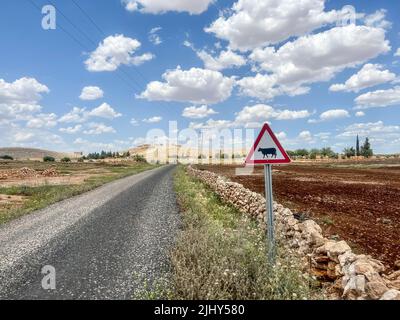 Straße, Bauernhof Tier überqueren Verkehrsschild durch eine leere Asphaltstraße führt zu Dorf in der Landschaft unter schönen blauen Himmel mit weißen Wolken in einem sonnigen Stockfoto