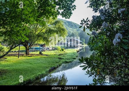 Sonnenaufgang am See Trahlyta mit blühendem Rhododendron im Vogel State Park, einem malerischen Rückzugsort in den Bergen von North Georgia. (USA) Stockfoto